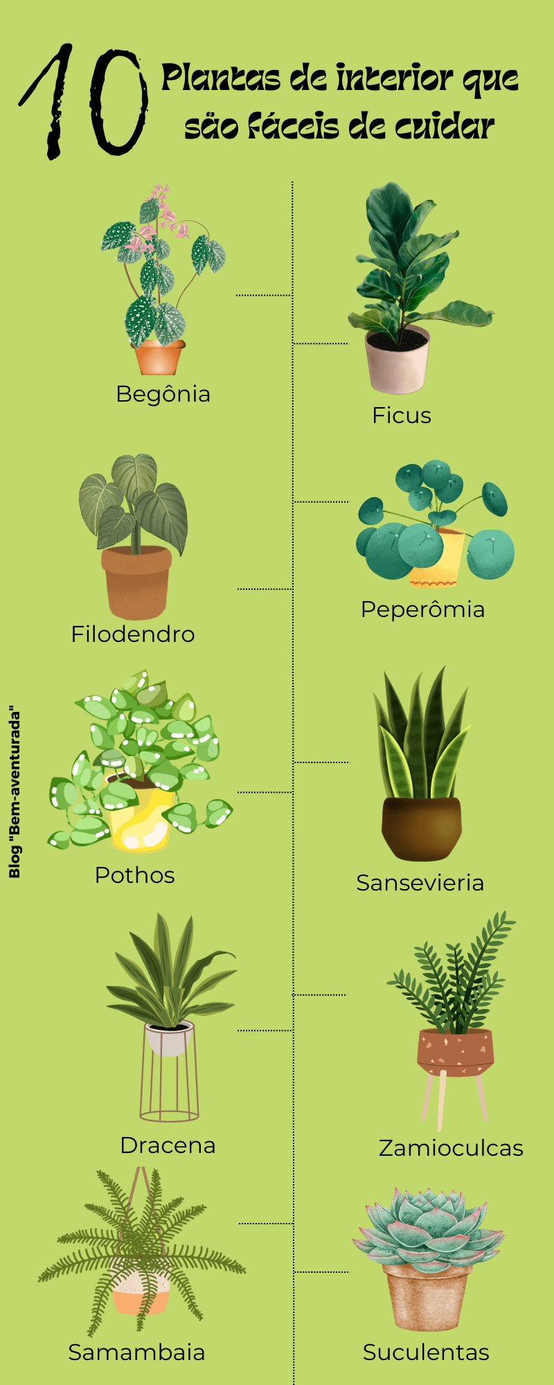 cuidado com plantas