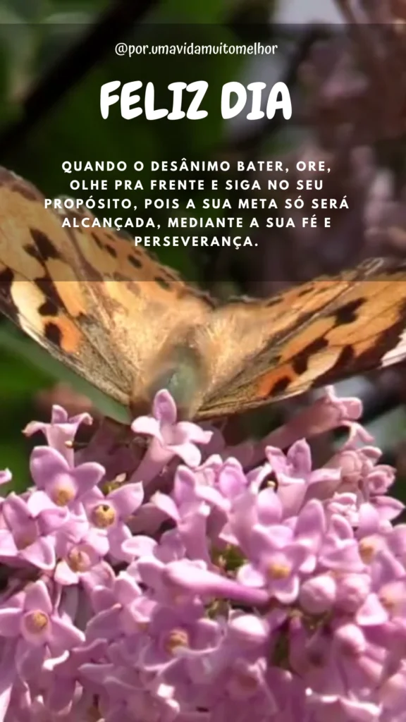 Mensagem de Reflexão