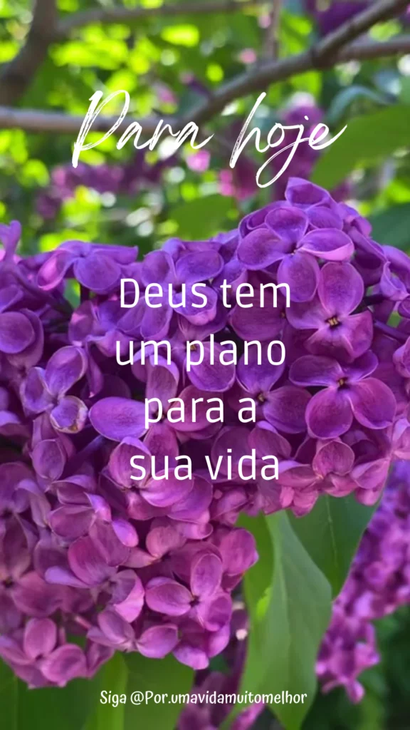 Mensagem de Reflexão
