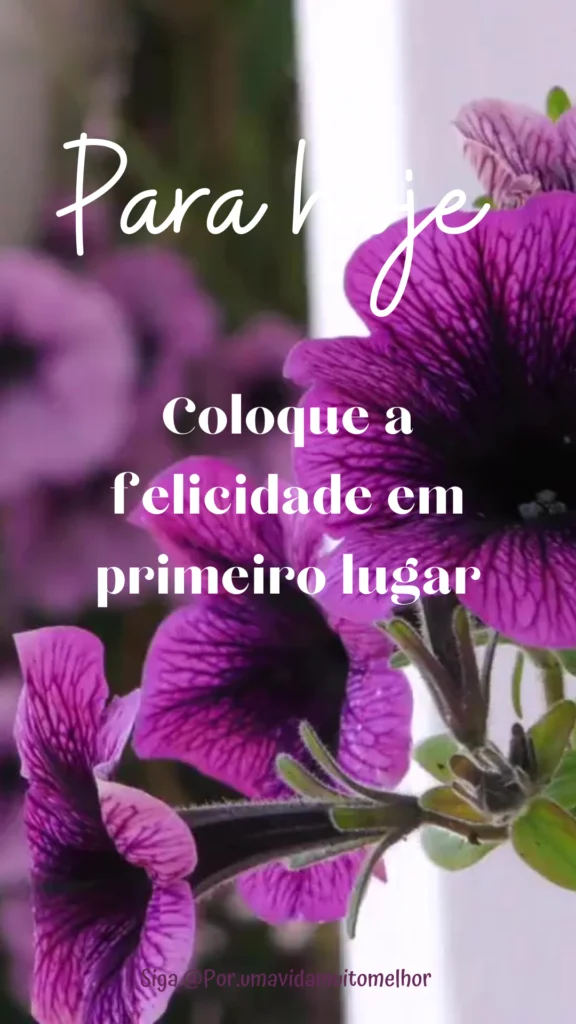 Mensagem de Reflexão