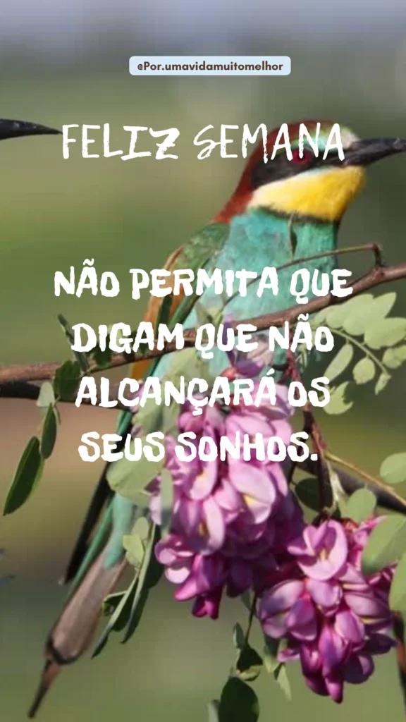 Mensagem de Reflexão