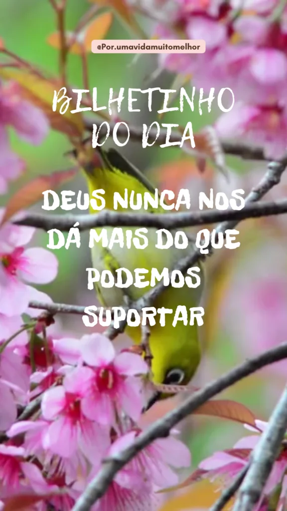 Mensagens de Reflexão