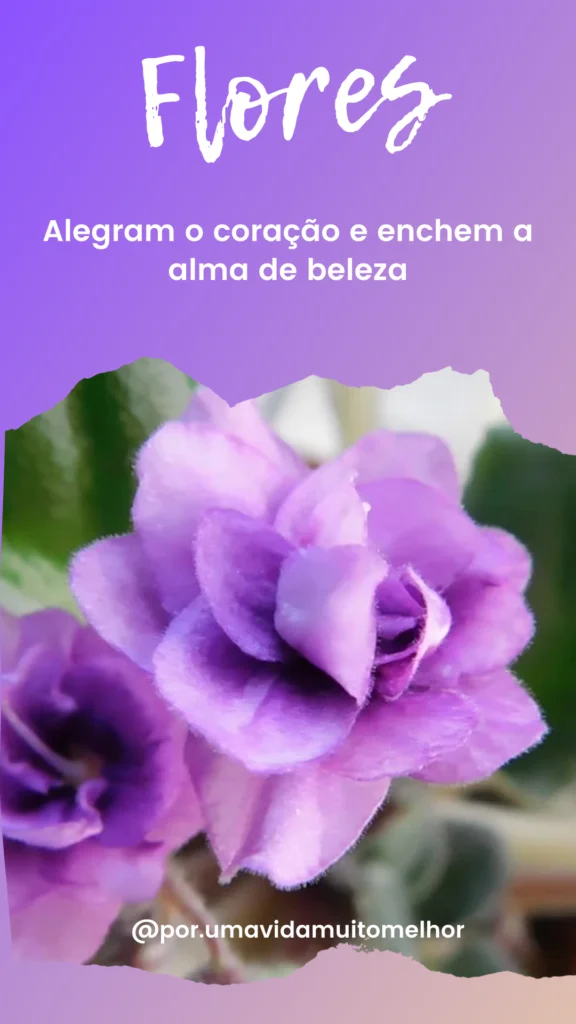 Mensagens de Reflexão