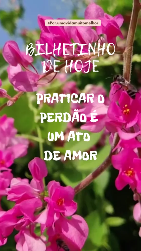 Mensagens de Reflexão
