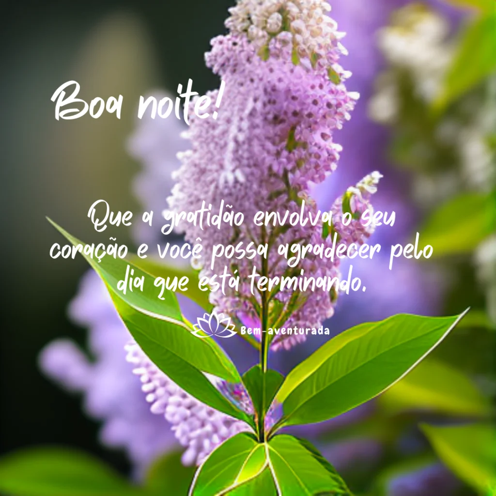 Mensagens de Boa noite