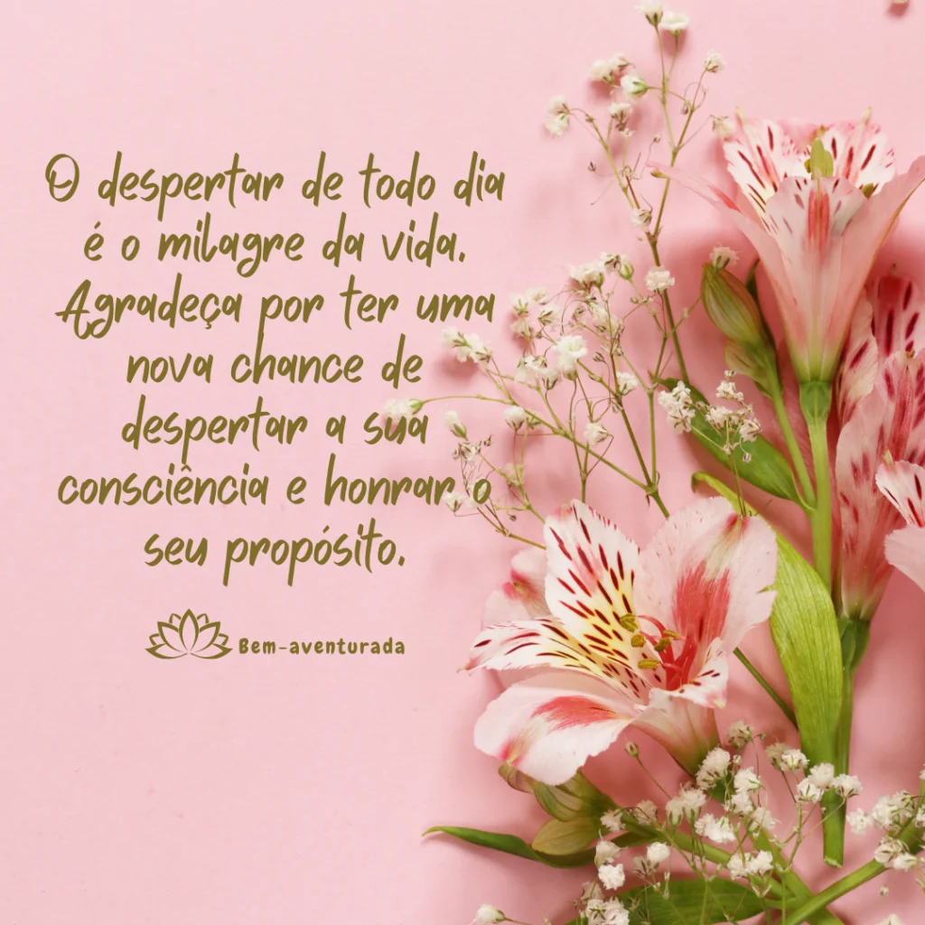 Blog Bem-aventurada