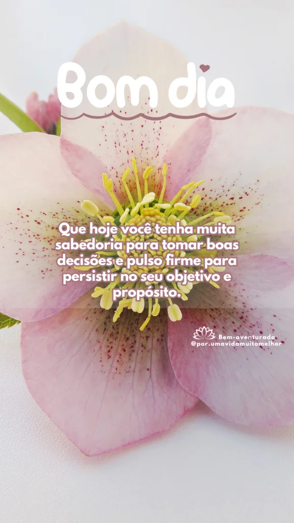 Mensagens de Bom dia - Blog Bem-aventurada